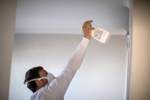 Best Mold Removal Near Me  in Pearland, TX